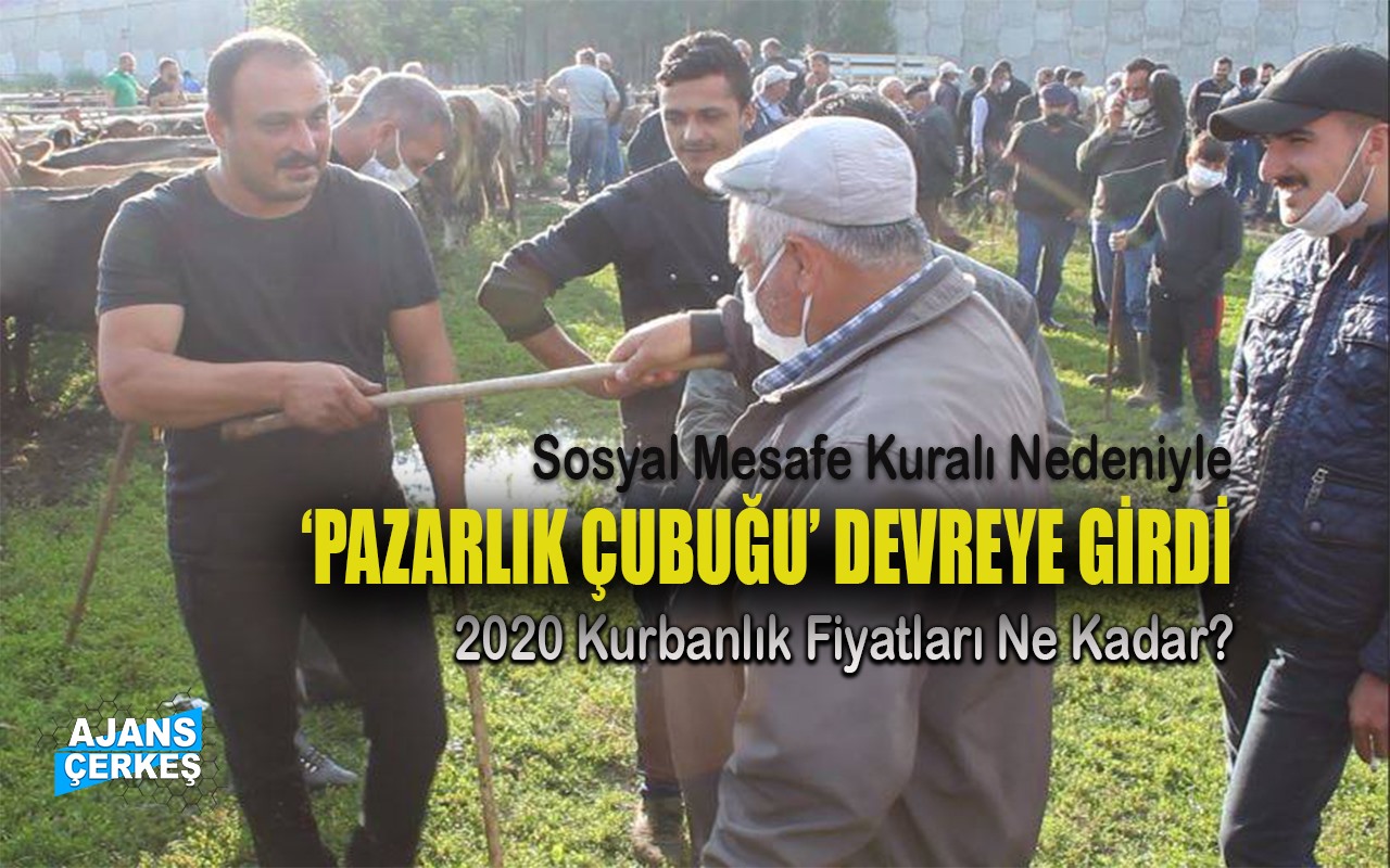 2020 Kurbanlık Fiyatları Ne Kadar?