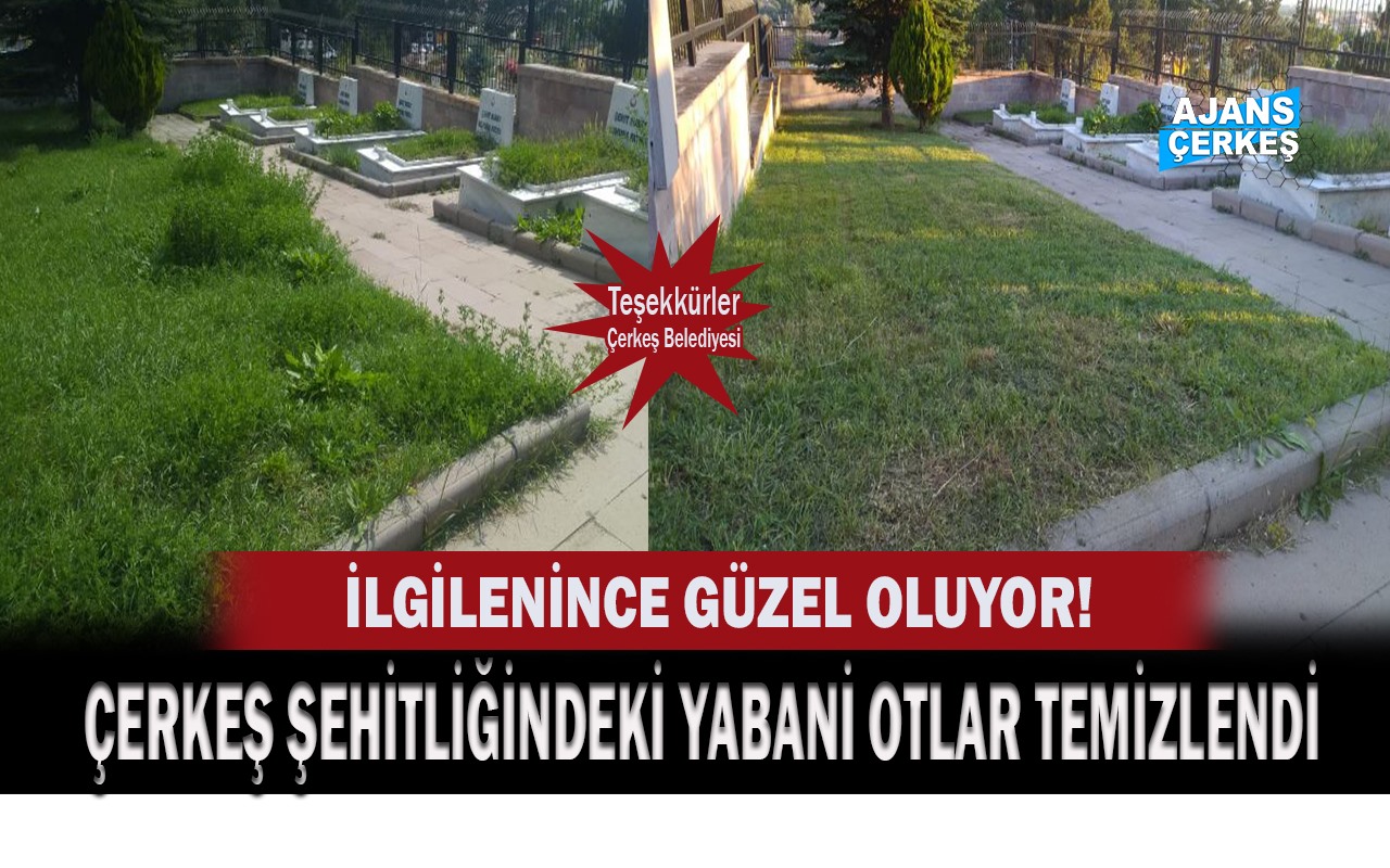 Çerkeş Şehitliği Pırıl Pırıl Oldu