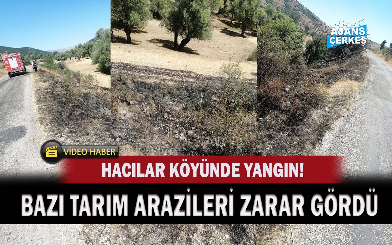 Hacılar Köyündeki Çıkan Yangında Bazı Tarım Arazileri Zarar Gördü