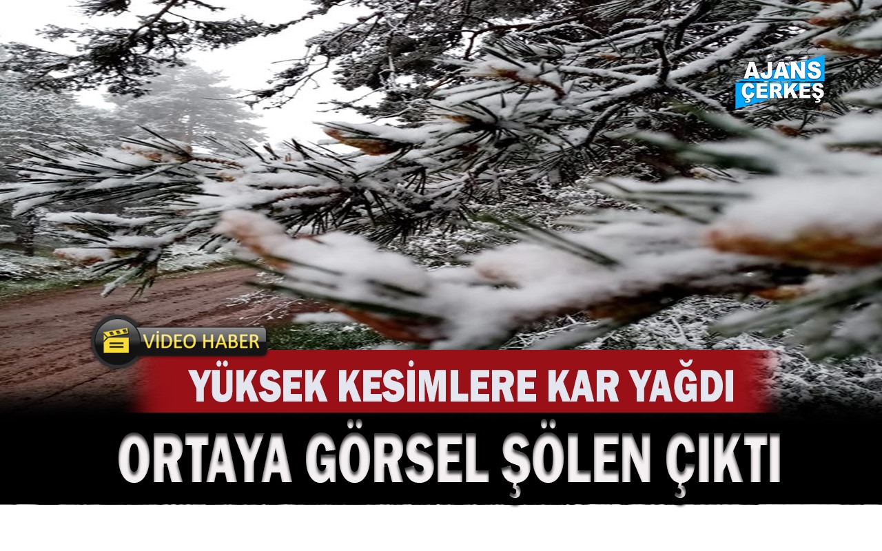 Kar Yağışı Işıkdağında Görsel Şölen Sundu