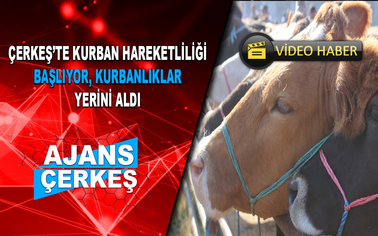 Kurban Satıcıları Artan Yem Fiyatlarına Tepkili