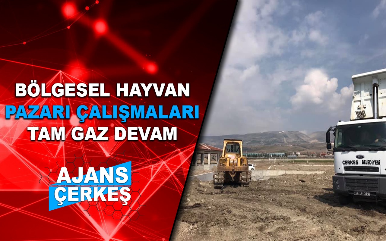 Sopacı, Hayvan Pazarı Projesiyle Start Verdi