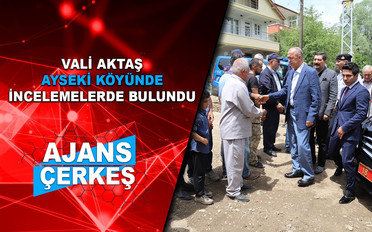 Vali Aktaş Yangın Çıkan Köyde İncelemelerde Bulundu